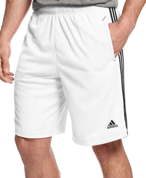 adidas white shorts for men